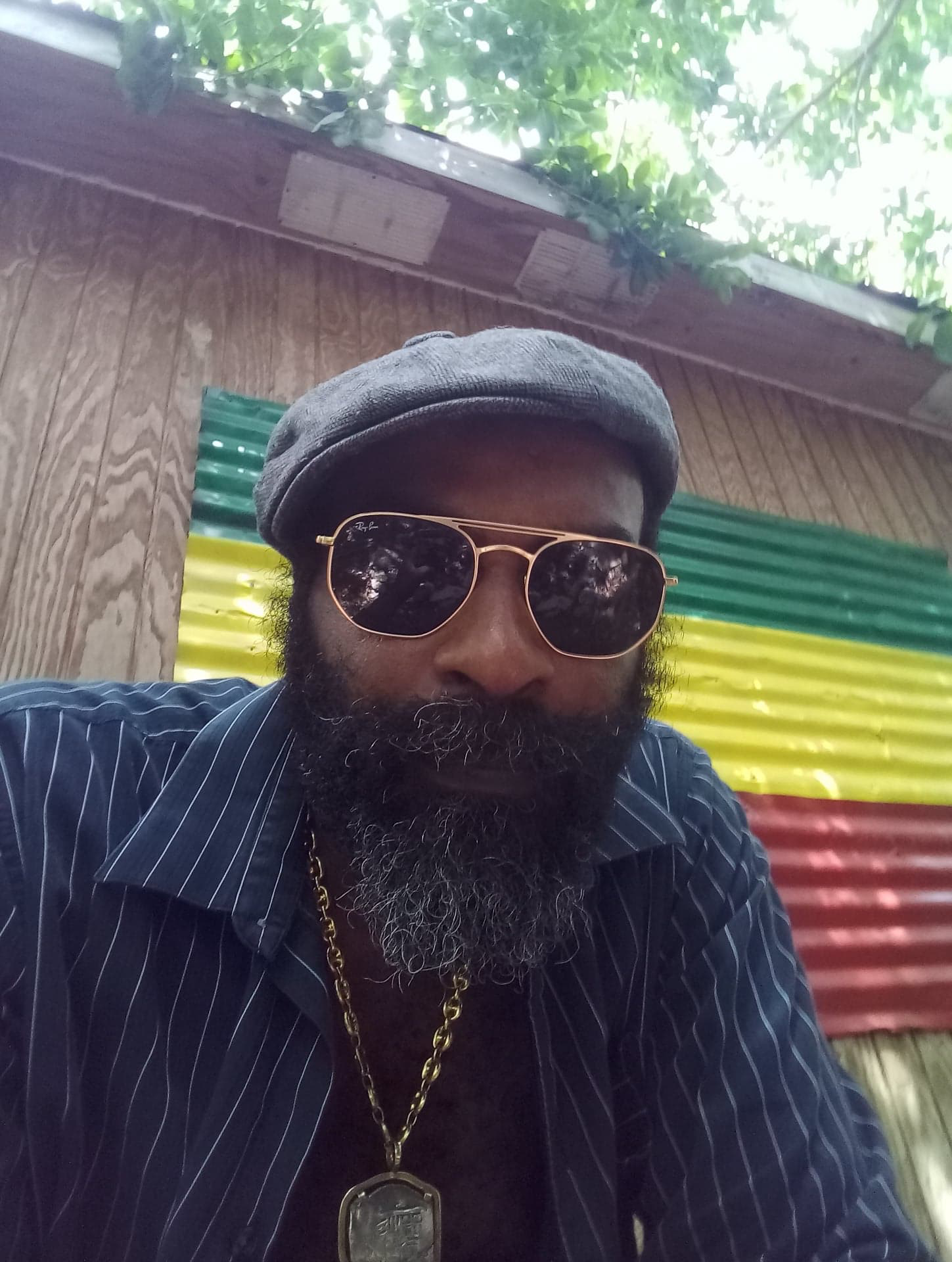 Reggae Renaissance Artist Stuart Wilson